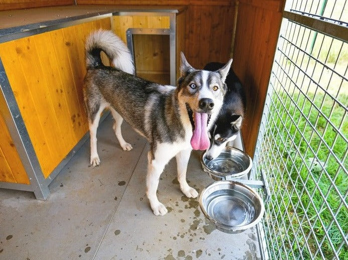 Kotce, boudy a zařízení pro psy od českého výrobce s tradicí