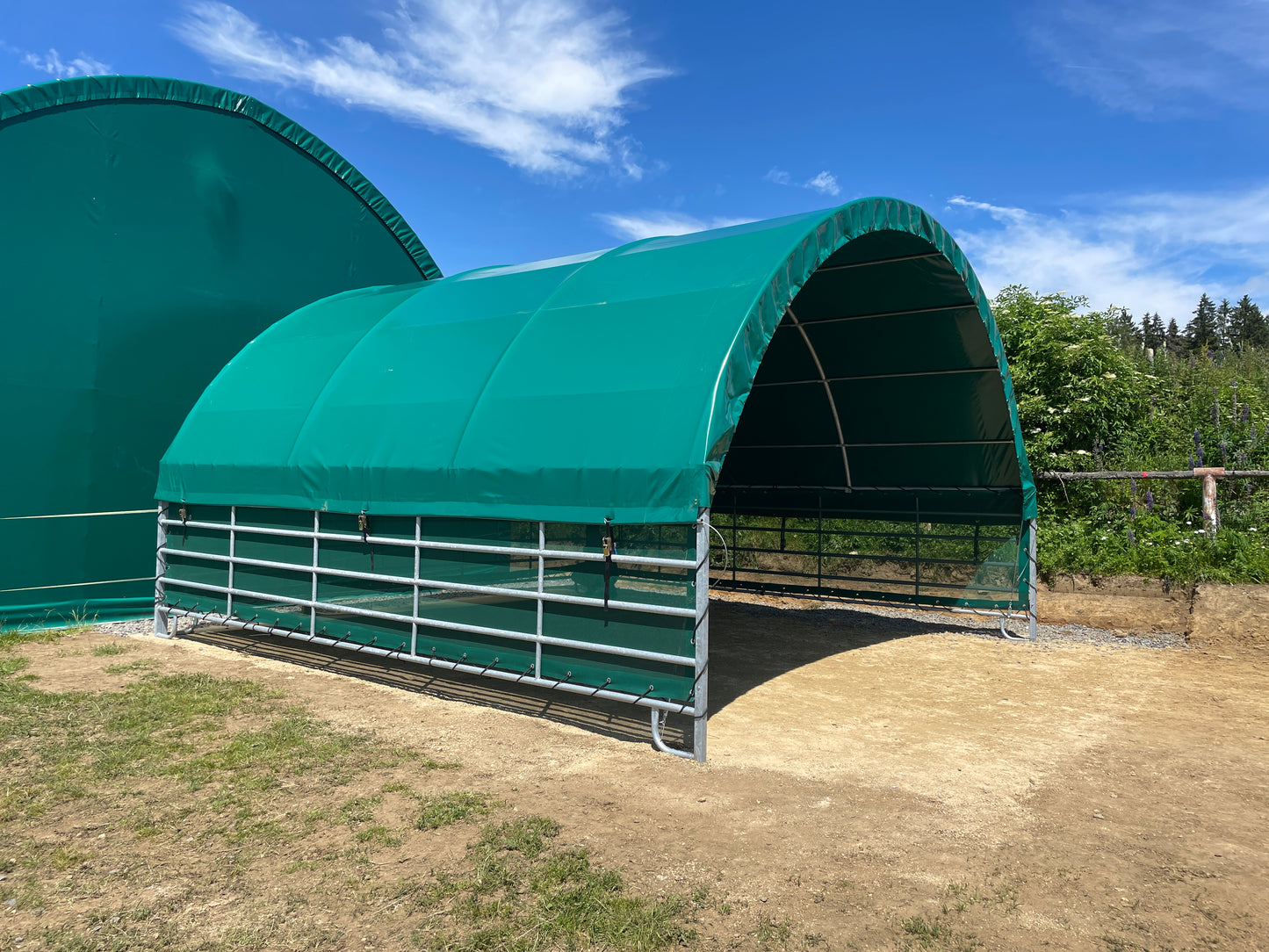 Planenunterstand für Pferde und Rinder 6 x 6 m