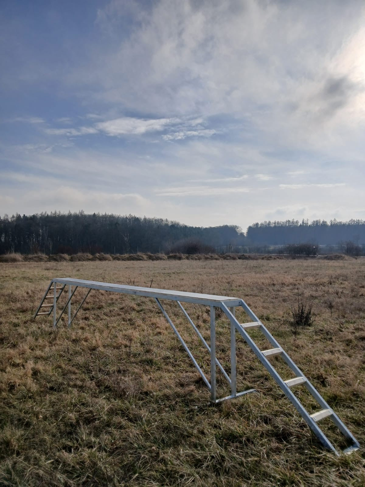 Výcviková kladina pro psy